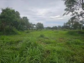 Imagem 6 - Terreno em Sítios de Recreio Mansões do Campus, Goiânia - GO