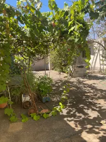 Sobrado Setor Marechal Rondon, Goiânia - GO — foto 2