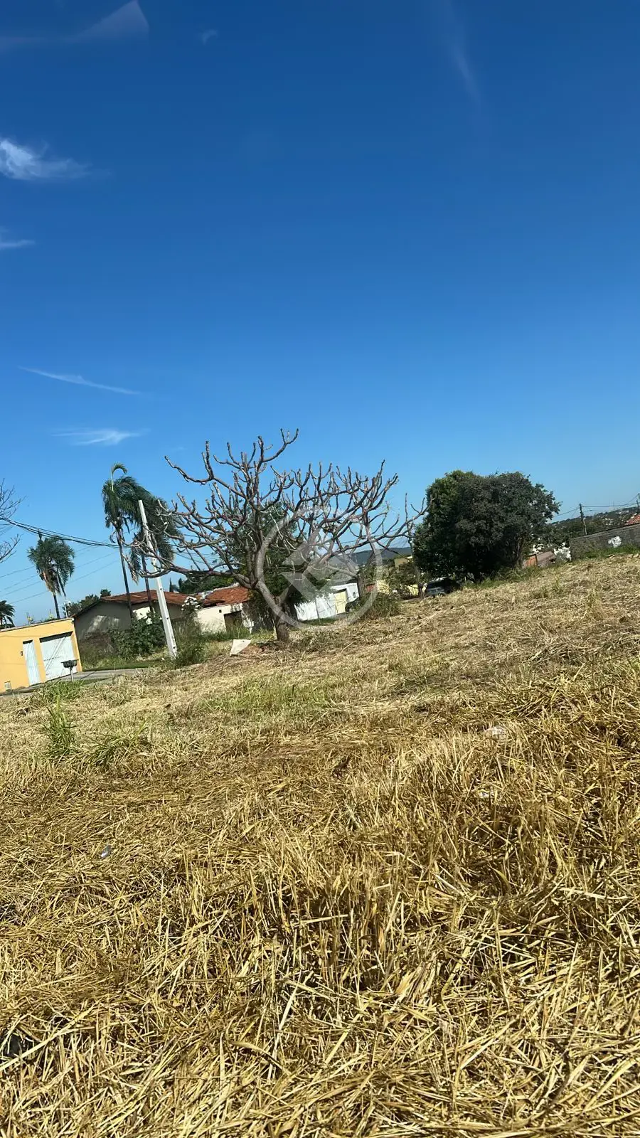 Imagem 1 - Terreno em Jardim Helvecia, Aparecida de Goiânia - GO