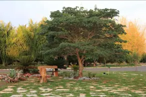 Terreno Condomínio Fazenda Santa Branca, Terezópolis de Goiás - GO — foto 2