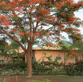 Imagem 4 - Terreno Condomínio em Fazenda Santa Branca, Terezópolis de Goiás - GO