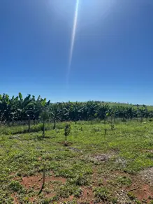 Imagem 2 - Chácara em Setor Central, Ouro Verde de Goiás - GO