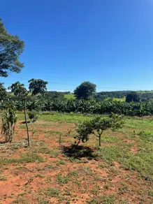 Imagem 6 - Chácara em Setor Central, Ouro Verde de Goiás - GO