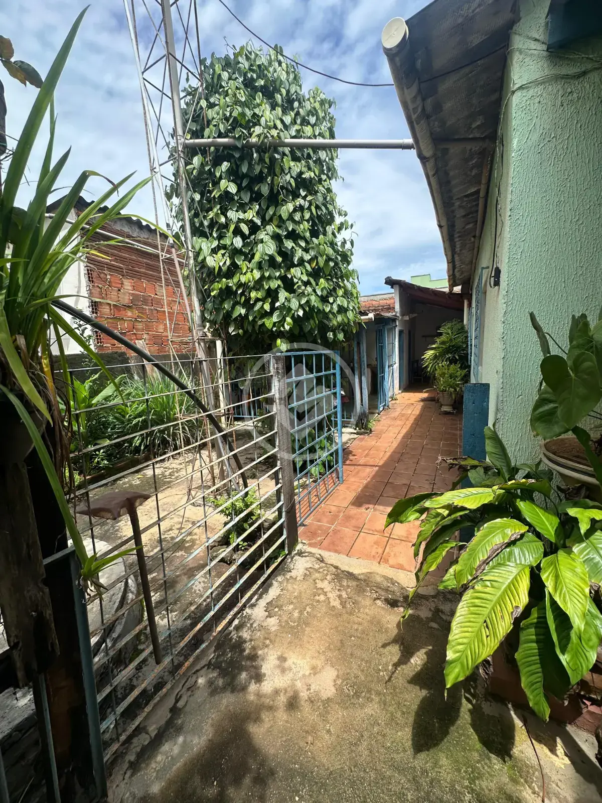 Imagem 3 - Terreno em Setor Pedro Ludovico, Goiânia - GO