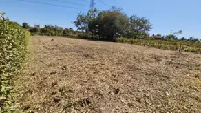 Terreno Condomínio de Chácaras Galiléia, Trindade - GO — foto 1