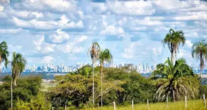 Imagem 6 - Terreno Condomínio em Setor Florenca, Santo Antônio de Goiás - GO