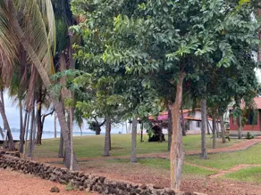 Imagem 4 - Chácara em Centro, São Simão - GO