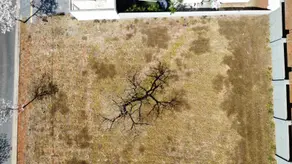 Imagem 3 - Terreno Condomínio em Terras Alpha Residencial 1, Senador Canedo - GO