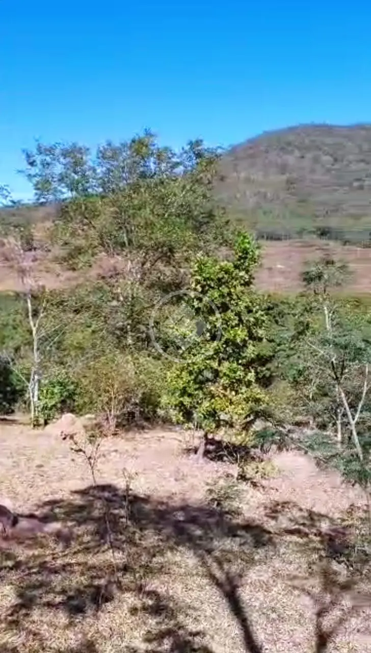Imagem 5 - Fazenda em Centro, Pirenópolis - GO