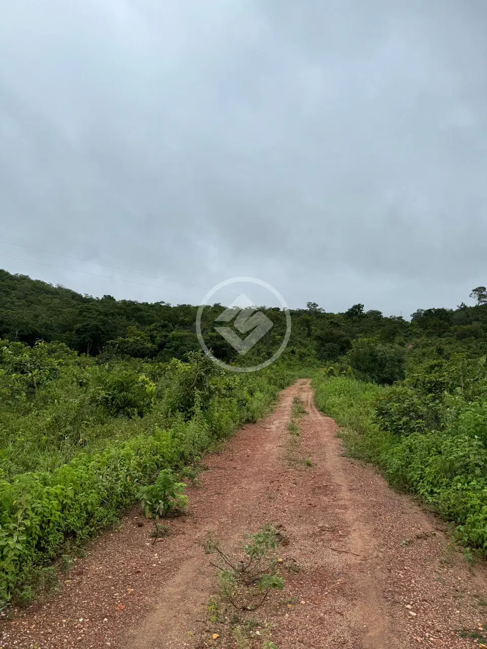 Imagem 4 - Fazenda em Centro, Pirenópolis - GO
