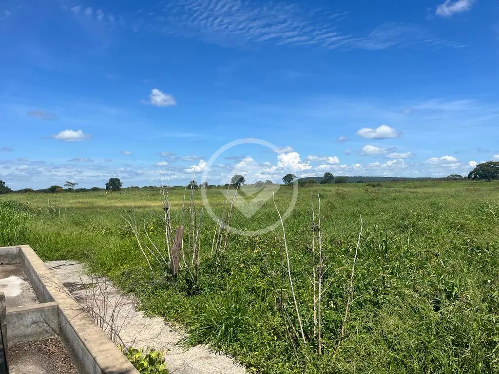 Imagem 2 - Fazenda em Jacu das Piranhas, Gameleiras - MG