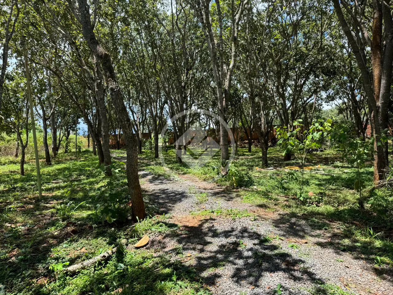 Imagem 4 - Terreno em Residencial Santa Efigênia, Goiânia - GO