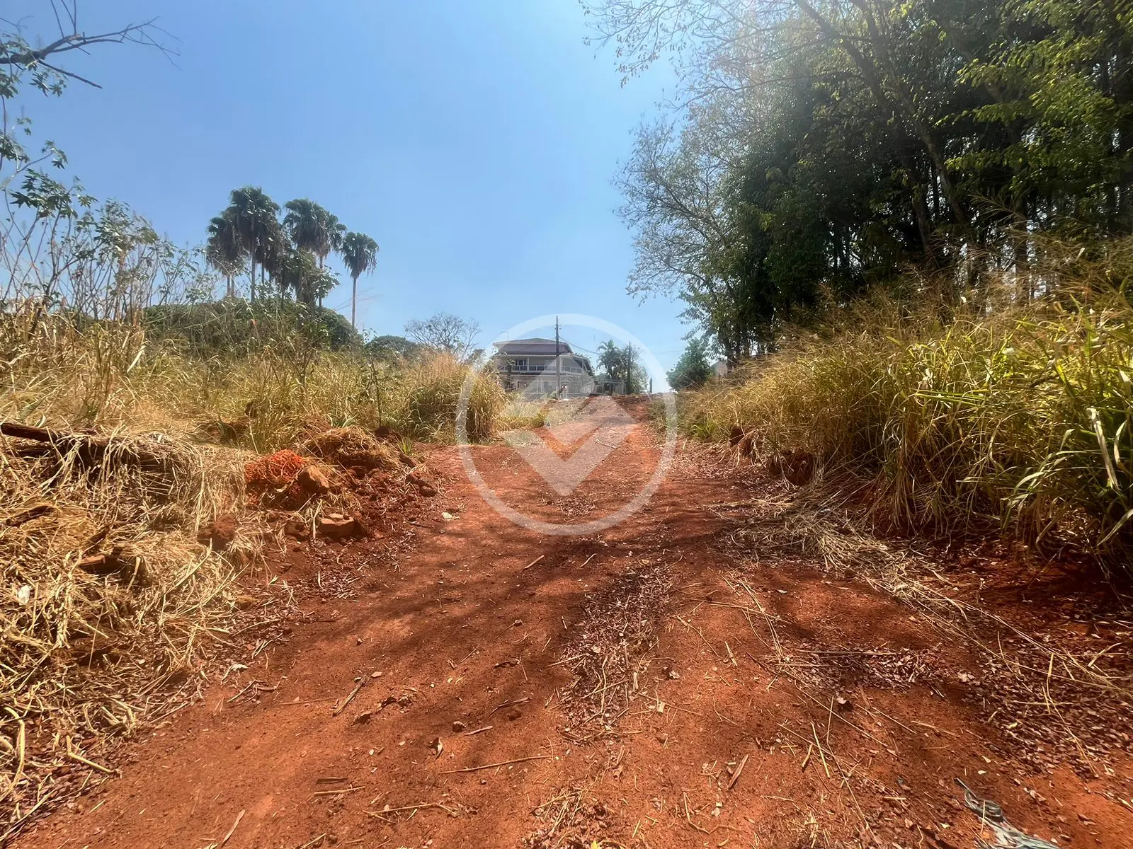 Imagem 6 - Terreno em Vila Santa Rita, Anápolis - GO
