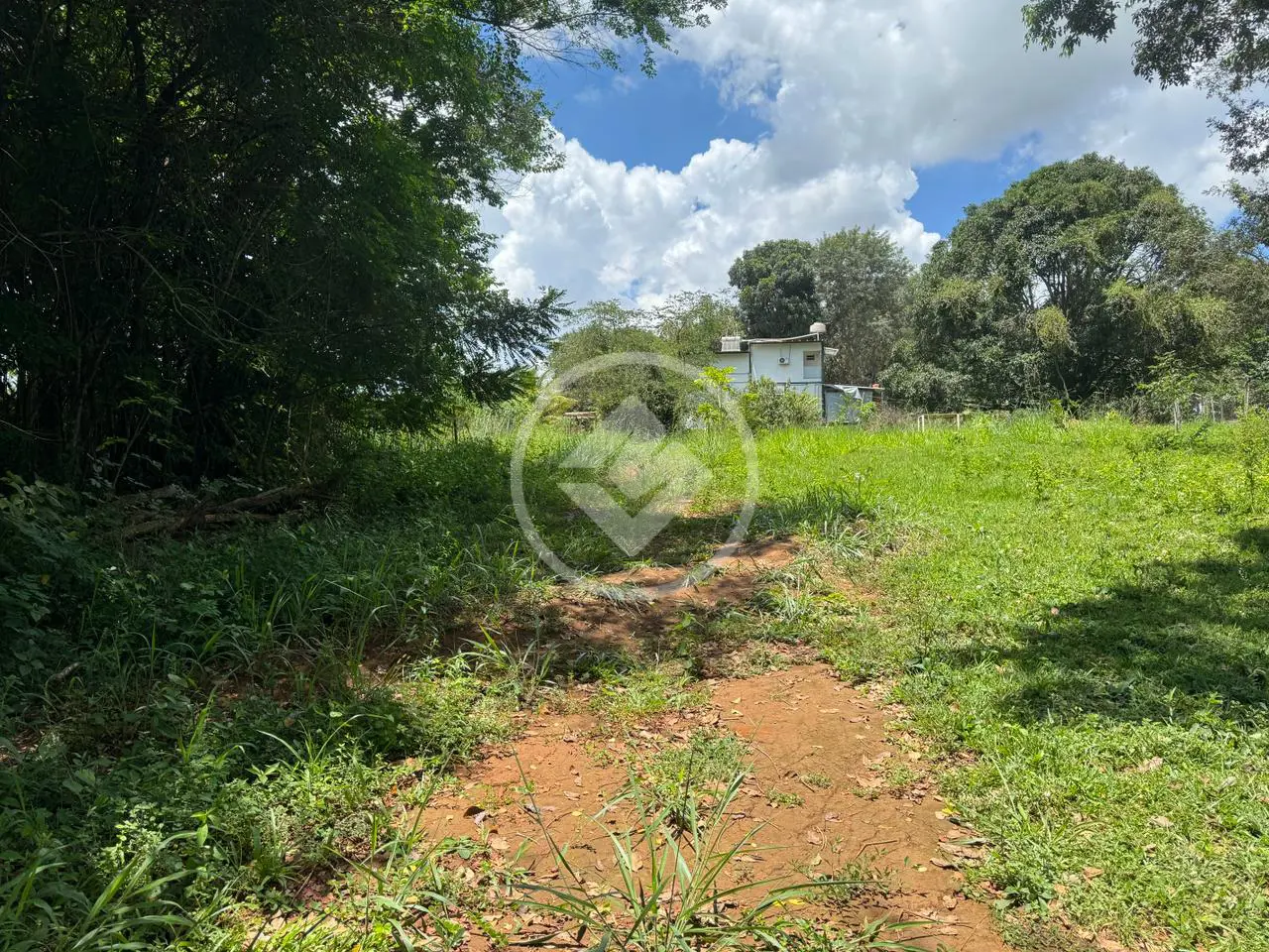 Imagem 6 - Terreno em Residencial Santa Efigênia, Goiânia - GO