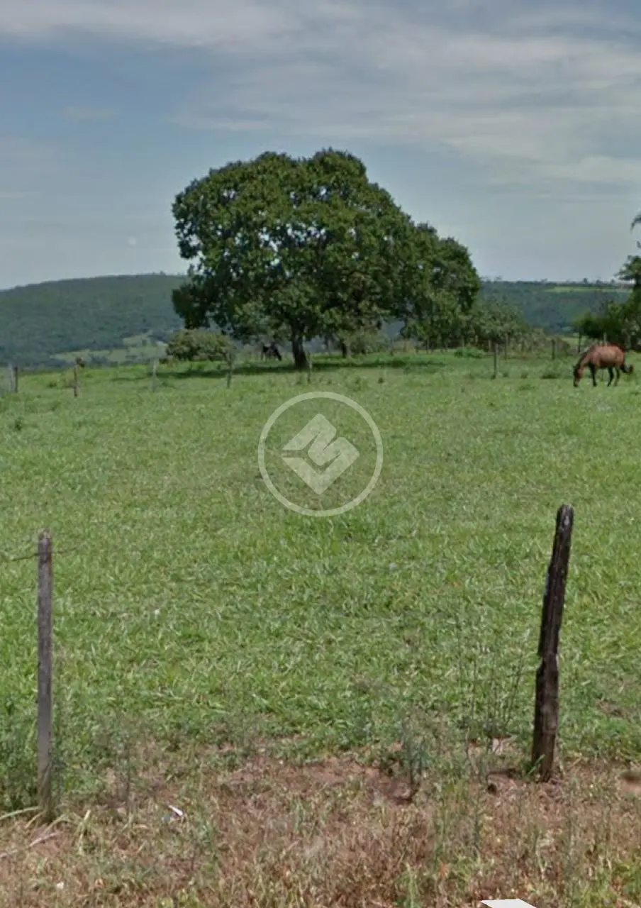 Imagem 5 - Fazenda em Campos Dourados, Aragoiânia - GO