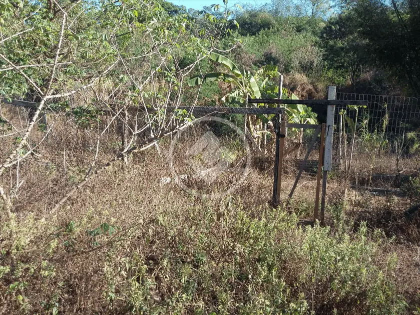 Imagem 6 - Chácara em Setor Mansoes Paraiso, Aparecida de Goiânia - GO