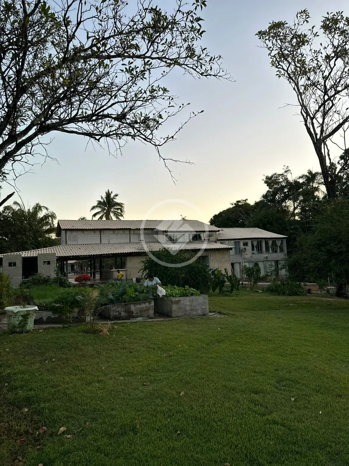 Fazenda Três Poderes, Mairipotaba - GO — foto 2