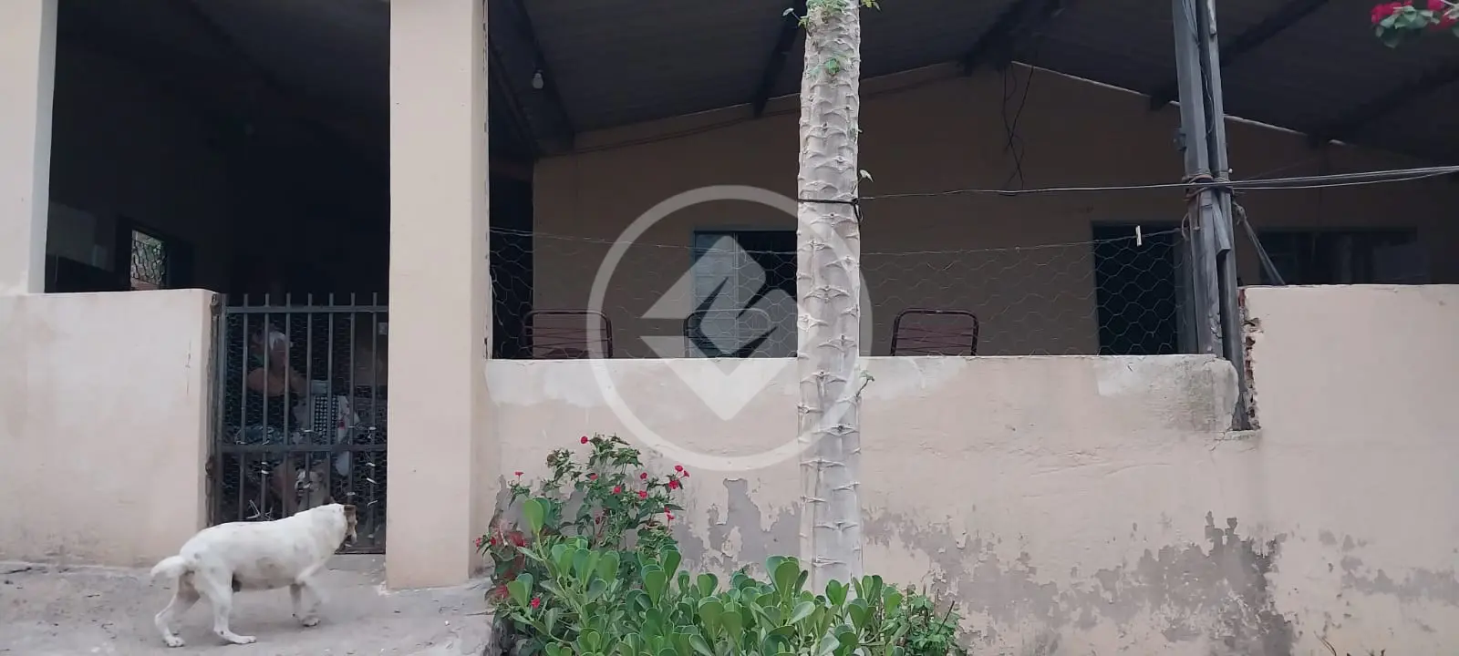 Image 22 - Chácara em Condomínio Privê das Oliveiras, Goiânia - GO
