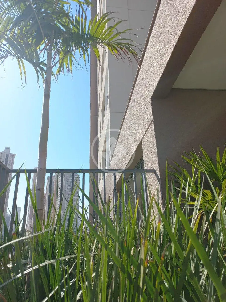 Imagem 2 - Apartamento em Jardim América, Goiânia - GO