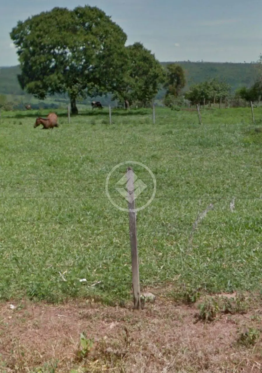Imagem 2 - Fazenda em Campos Dourados, Aragoiânia - GO