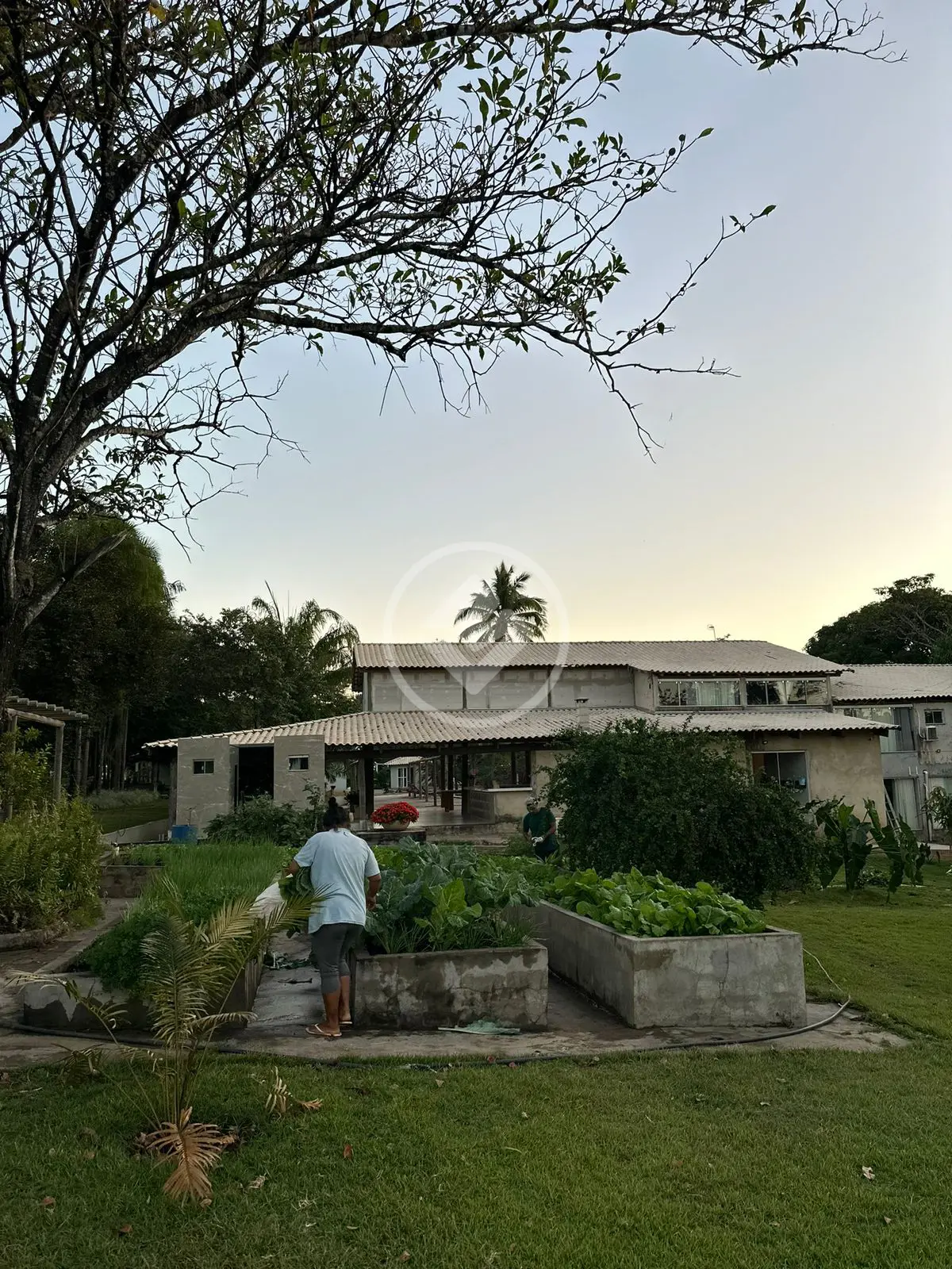 Imagem 3 - Fazenda em Três Poderes, Mairipotaba - GO
