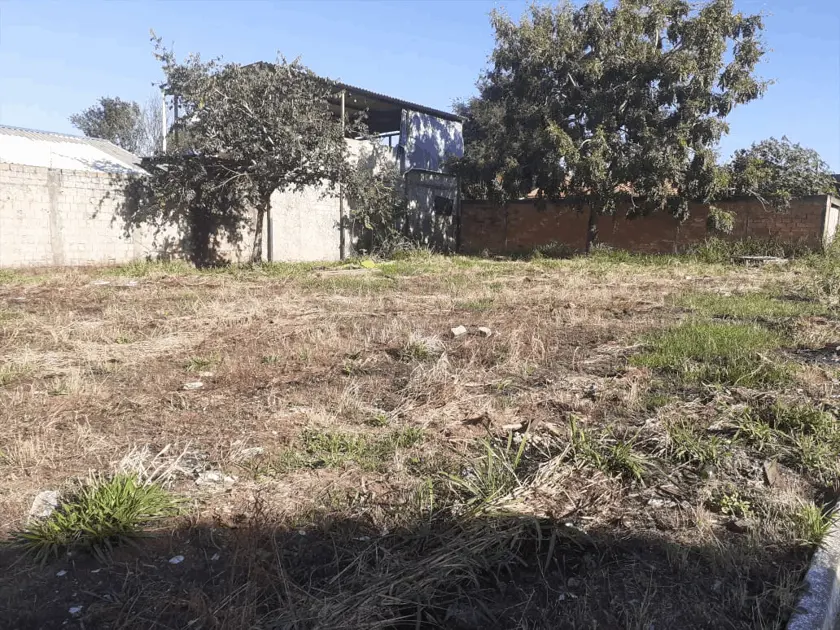 Imagem 6 - Terreno em Independência, Aparecida de Goiânia - GO