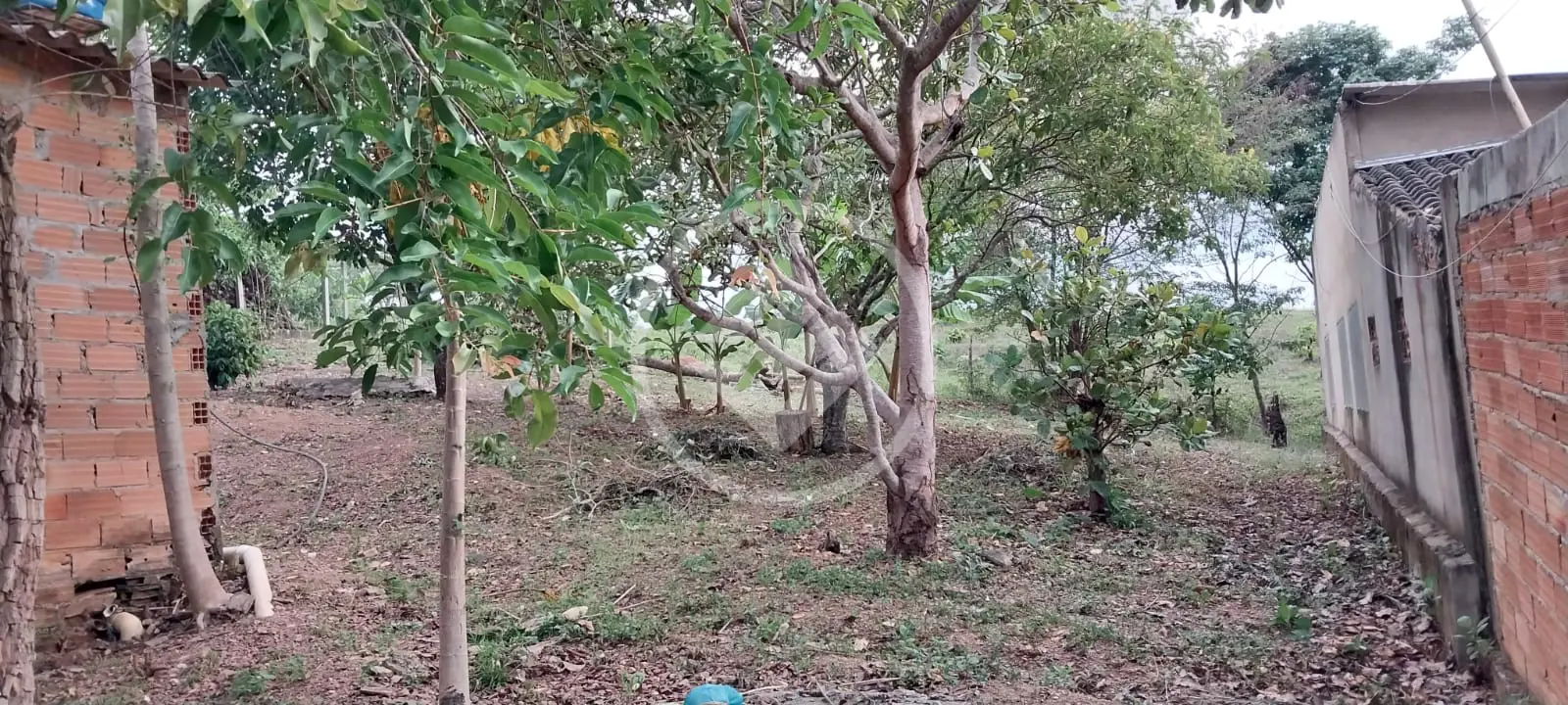 Chácara Condomínio Privê das Oliveiras, Goiânia - GO — foto 2