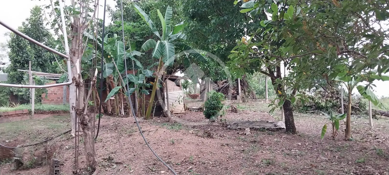 Imagem 6 - Chácara em Condomínio Privê das Oliveiras, Goiânia - GO