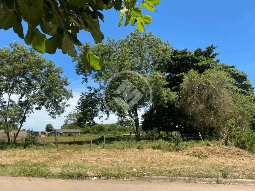 Terreno Urias Magalhães, Goiânia - GO — foto 2