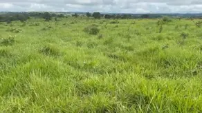 Fazenda Centro, Ivolândia - GO — foto 2