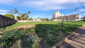 Terreno Jardim Helvecia, Aparecida de Goiânia - GO — foto 1