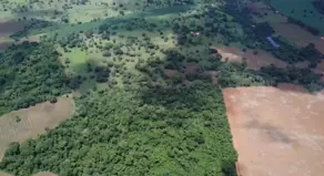 Imagem 6 - Terreno em Condomínio Parque dos Cisnes, Goiânia - GO