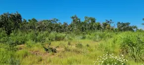 Imagem 5 - Terreno em Residencial Recanto de Caldas, Caldas Novas - GO