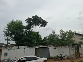 Imagem 2 - Terreno em Vila Brasília, Aparecida de Goiânia - GO