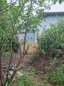 Imagem 3 - Terreno em Vila Brasília, Aparecida de Goiânia - GO
