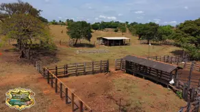 Fazenda , Crixás - GO — foto 2