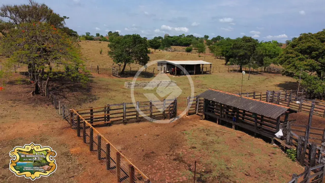 🌾 FAZENDA À VENDA – CRIXÁS/GO 🌾 — foto 2