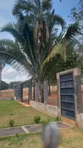 Chácara Setor Primavera Norte, Piracanjuba - GO — foto 1