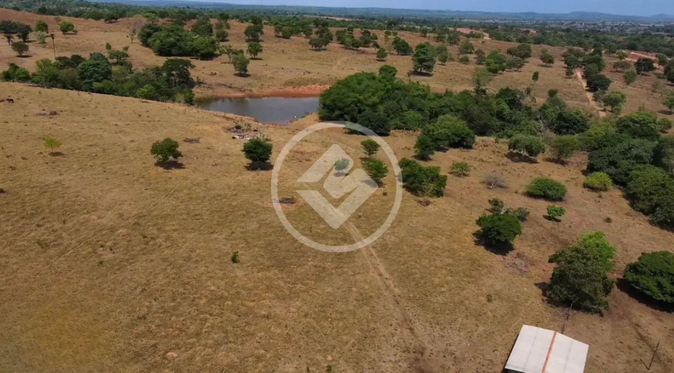 🌾 FAZENDA À VENDA – CRIXÁS/GO 🌾 — foto 4