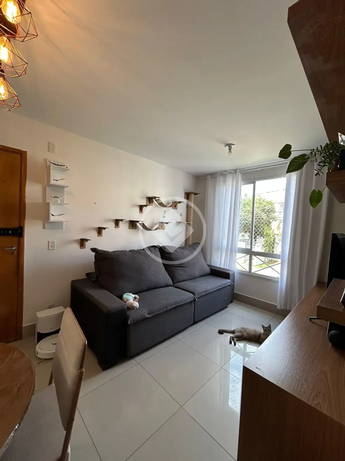 Imagem 3 - Apartamento em Moinho dos Ventos, Goiânia - GO