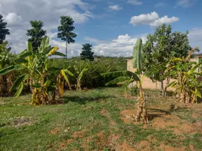 Imagem 2 - Terreno em central, Bonfinópolis - GO
