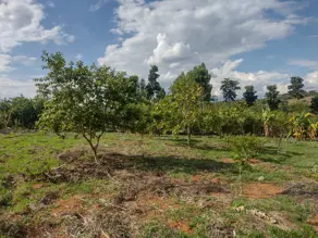Terreno central, Bonfinópolis - GO — foto 2