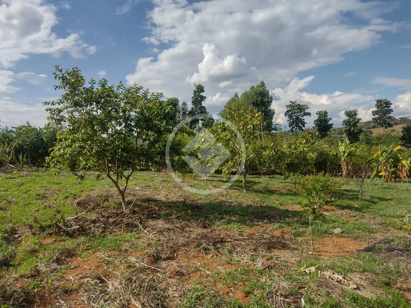 Image 2 - Terreno em central, Bonfinópolis - GO