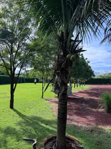 Terreno Condomínio Condomínio Alto da Boa Vista, Senador Canedo - GO — foto 1