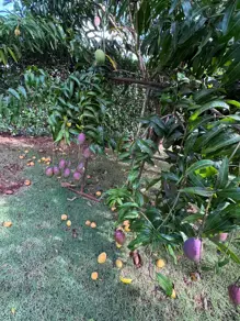 Imagem 3 - Terreno Condomínio em Condomínio Alto da Boa Vista, Senador Canedo - GO