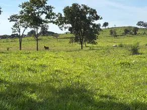 Imagem 4 - Fazenda em Centro, Ivolândia - GO