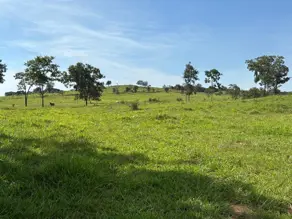 Imagem 6 - Fazenda em Centro, Ivolândia - GO