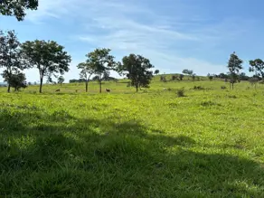 Imagem 5 - Fazenda em Centro, Ivolândia - GO