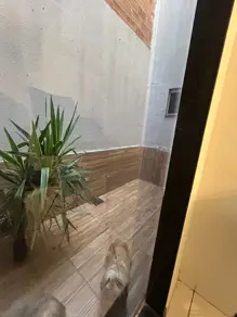 Imagem 2 - Casa em Moinho dos Ventos, Goiânia - GO