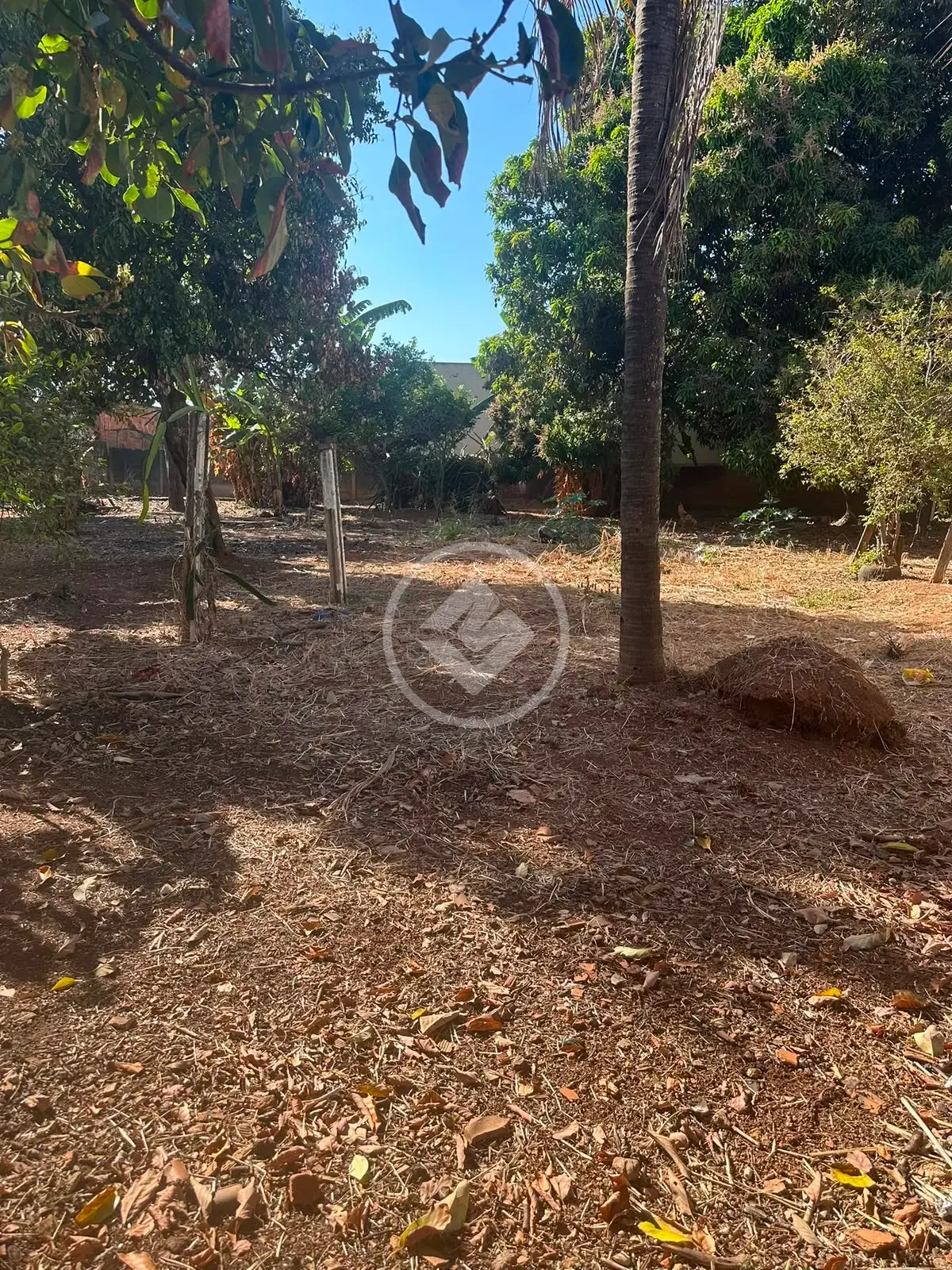 ÁREA À VENDA – 1.500 m² EM APARECIDA DE GOIÂNIA. — foto 3